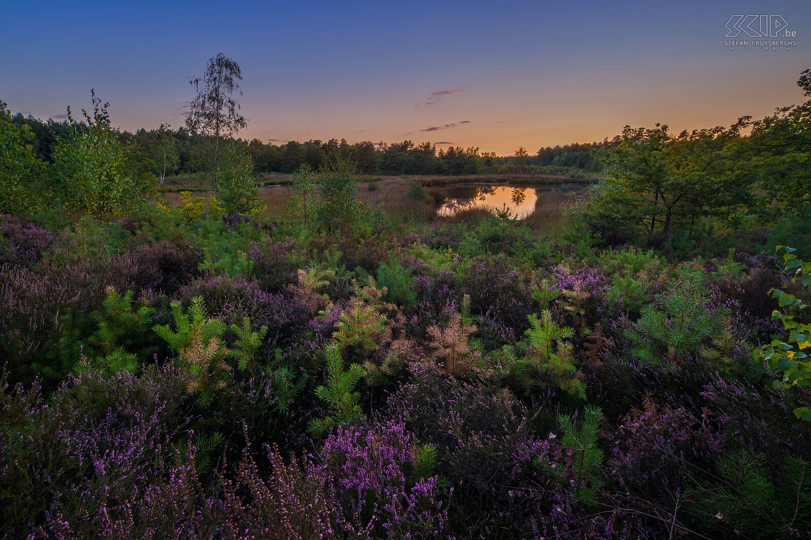 Sunset at the Pinnekenswijer in Gerhagen The mere Pinnekenswijer in nature reserve Gerhagen in Tessenderlo, Limburg Stefan Cruysberghs